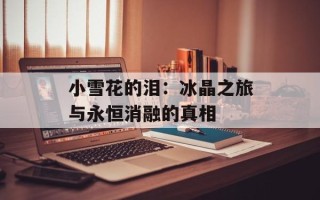 小雪花的泪：冰晶之旅与永恒消融的真相
