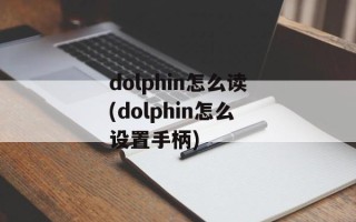 dolphin怎么读(dolphin怎么设置手柄)