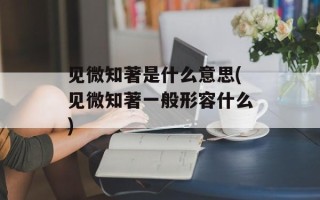 见微知著是什么意思(见微知著一般形容什么)