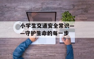 小学生交通安全常识——守护生命的每一步