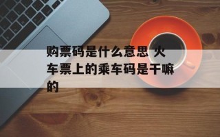 购票码是什么意思 火车票上的乘车码是干嘛的
