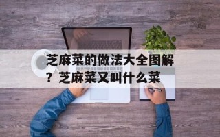 芝麻菜的做法大全图解？芝麻菜又叫什么菜