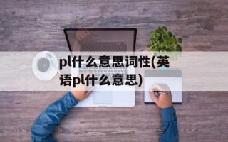 pl什么意思词性(英语pl什么意思)