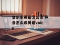 音乐家英语怎么读 声音怎么读英语voice