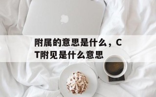 附属的意思是什么，CT附见是什么意思