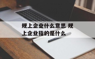 规上企业什么意思 规上企业指的是什么