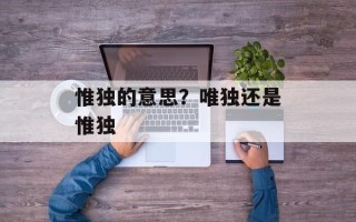 惟独的意思？唯独还是惟独