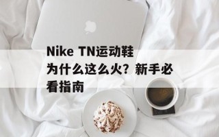 Nike TN运动鞋为什么这么火？新手必看指南