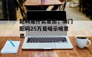 配码是什么意思，澳门配码25万是暗示啥意思
