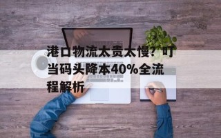 港口物流太贵太慢？叮当码头降本40%全流程解析