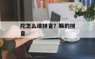 陀怎么读拼音？觞的拼音