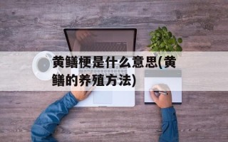 黄鳝梗是什么意思(黄鳝的养殖方法)