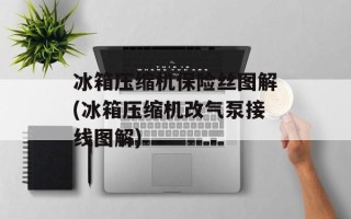 冰箱压缩机保险丝图解(冰箱压缩机改气泵接线图解)