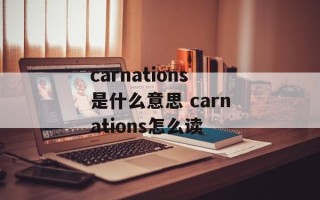 carnations是什么意思 carnations怎么读