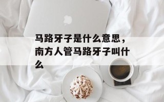 马路牙子是什么意思，南方人管马路牙子叫什么