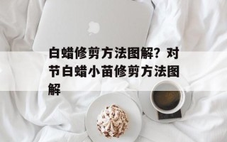白蜡修剪方法图解？对节白蜡小苗修剪方法图解