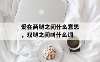 爱在两腿之间什么意思，双腿之间叫什么词