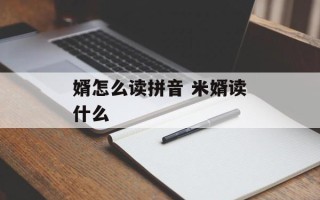 婿怎么读拼音 米婿读什么