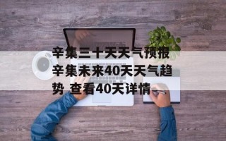 辛集三十天天气预报 辛集未来40天天气趋势 查看40天详情