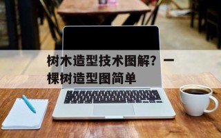 树木造型技术图解？一棵树造型图简单