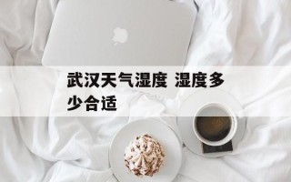 武汉天气湿度 湿度多少合适