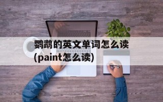 鹦鹉的英文单词怎么读(paint怎么读)