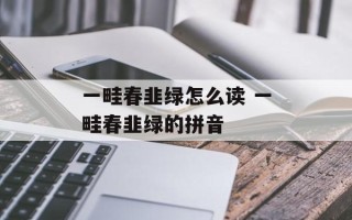 一畦春韭绿怎么读 一畦春韭绿的拼音