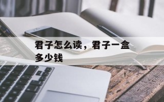 君子怎么读，君子一盒多少钱
