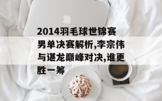 2014羽毛球世锦赛男单决赛解析,李宗伟与谌龙巅峰对决,谁更胜一筹