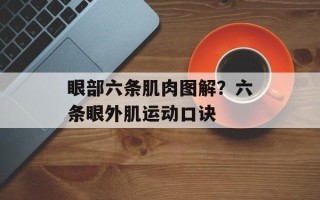 眼部六条肌肉图解？六条眼外肌运动口诀
