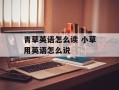 青草英语怎么读 小草用英语怎么说