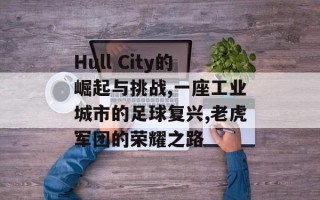 Hull City的崛起与挑战,一座工业城市的足球复兴,老虎军团的荣耀之路