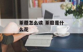 荼蘼怎么读 荼靡是什么花