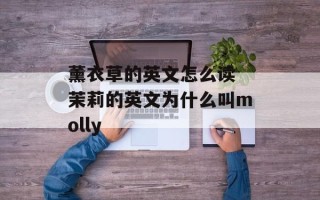 薰衣草的英文怎么读 茉莉的英文为什么叫molly