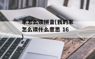 豕怎么读拼音(我的豕怎么读什么意思 16)