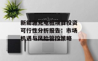 新能源充电桩项目投资可行性分析报告：市场机遇与风险管控策略