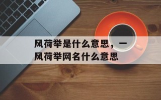 风荷举是什么意思，一风荷举网名什么意思