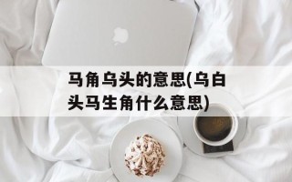 马角乌头的意思(乌白头马生角什么意思)