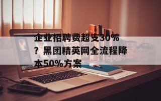 企业招聘费超支30%？黑团精英网全流程降本50%方案