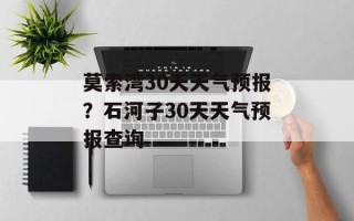 莫索湾30天天气预报？石河子30天天气预报查询