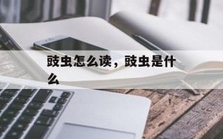 豉虫怎么读，豉虫是什么