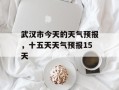 武汉市今天的天气预报，十五天天气预报15天