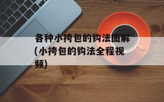 各种小挎包的钩法图解(小挎包的钩法全程视频)