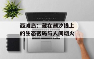 西滩岛：藏在潮汐线上的生态密码与人间烟火