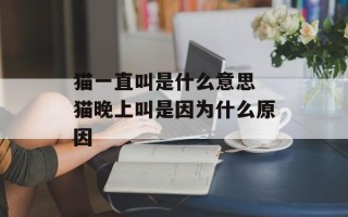 猫一直叫是什么意思 猫晚上叫是因为什么原因