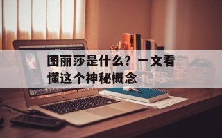 图丽莎是什么？一文看懂这个神秘概念