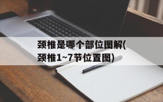 颈椎是哪个部位图解(颈椎1~7节位置图)