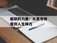 磨砺的力量：从寒冬梅香到人生锋刃