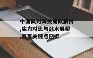 中国队对阵关岛队解析,实力对比与战术展望,赛事关键点剖析