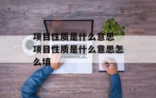 项目性质是什么意思 项目性质是什么意思怎么填